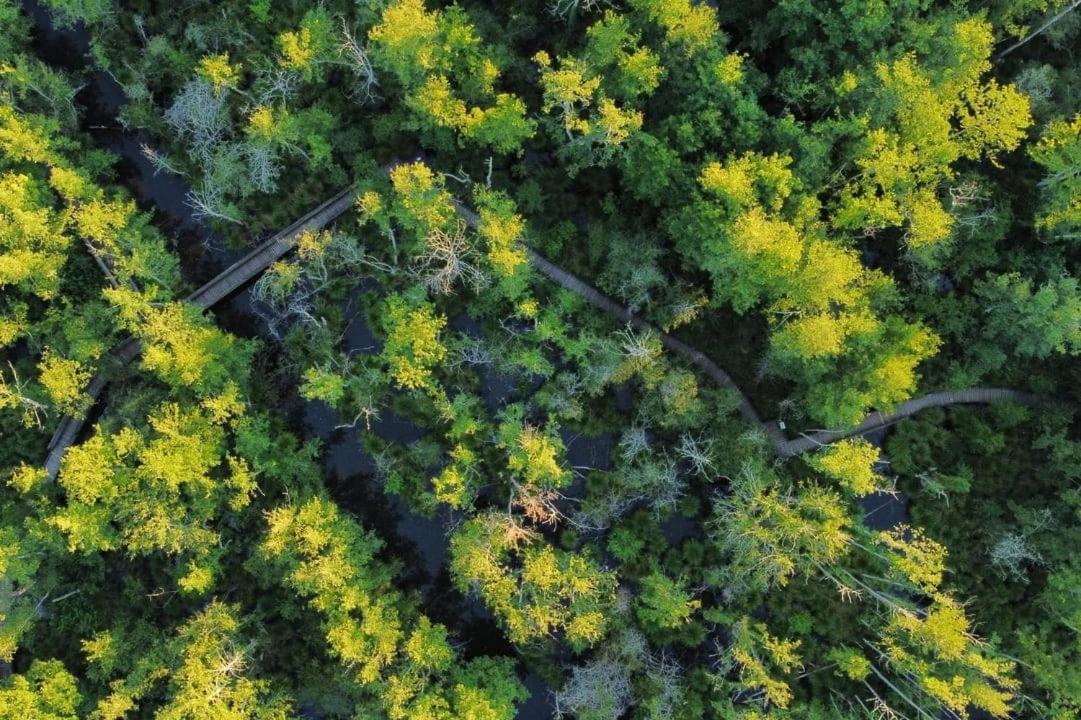 Camping Du Lac De Groléjac Εξωτερικό φωτογραφία